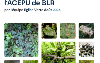 Inventaire de la biodiversité dans le jardin
